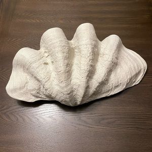 Large decorative clam shell